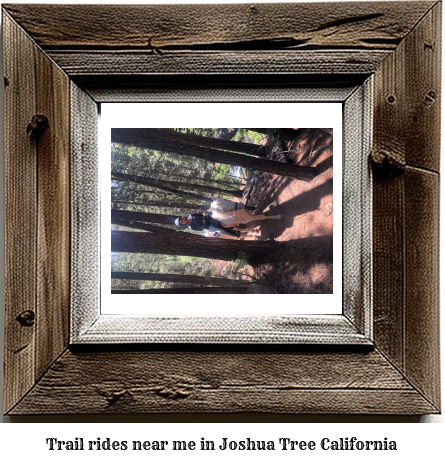 trail rides near me in Joshua Tree, California